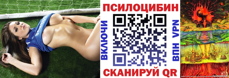 Купить закладки  Вязьма  Галлюциногенные грибы Magic Shrooms 